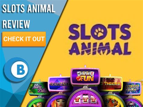Slots animal casino Colombia